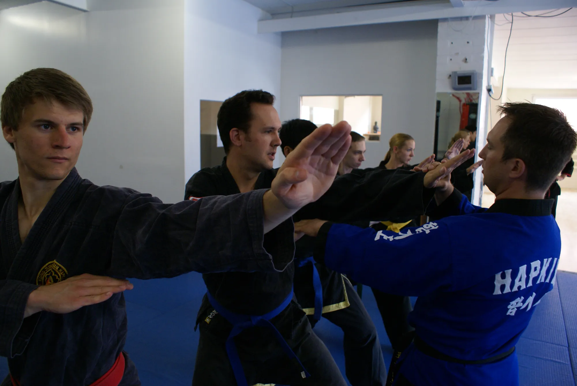 Hapkido Wurftechnik