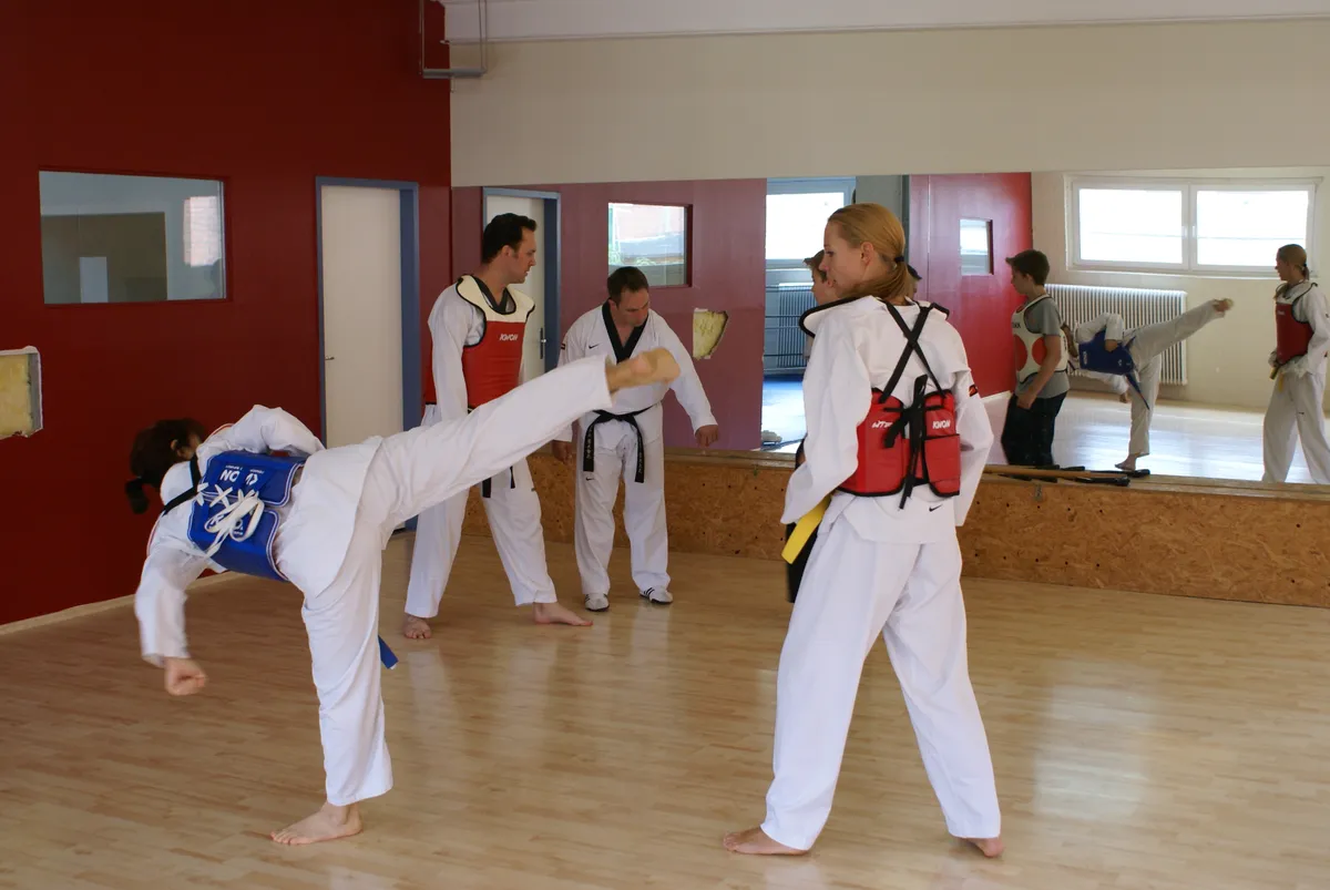 Taekwondo Technik