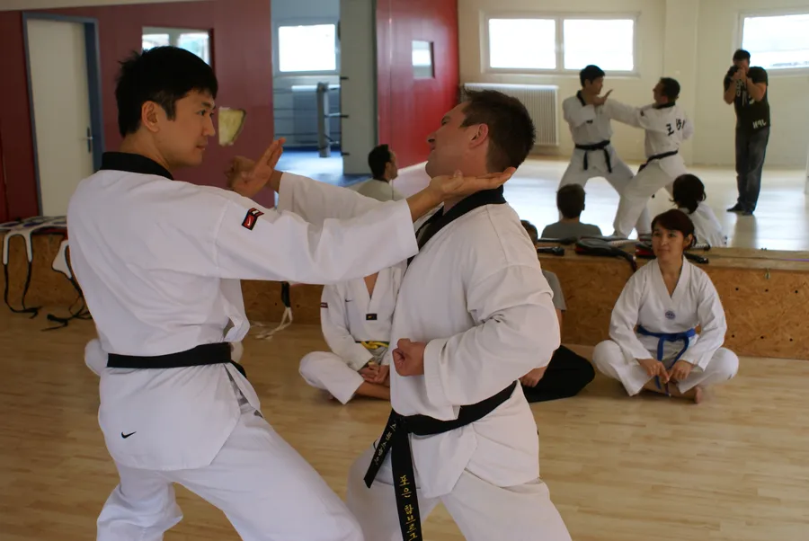 Taekwondo Training